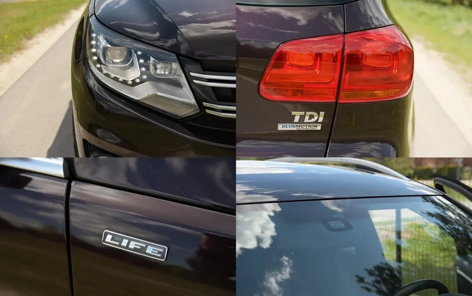 Volkswagen Tiguan cena 59900 przebieg: 182000, rok produkcji 2013 z Lubomierz małe 704
